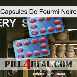 Black Ant Capsules 05